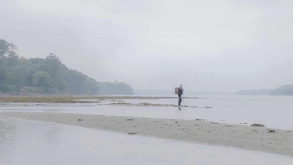 Along the Coast in Maine